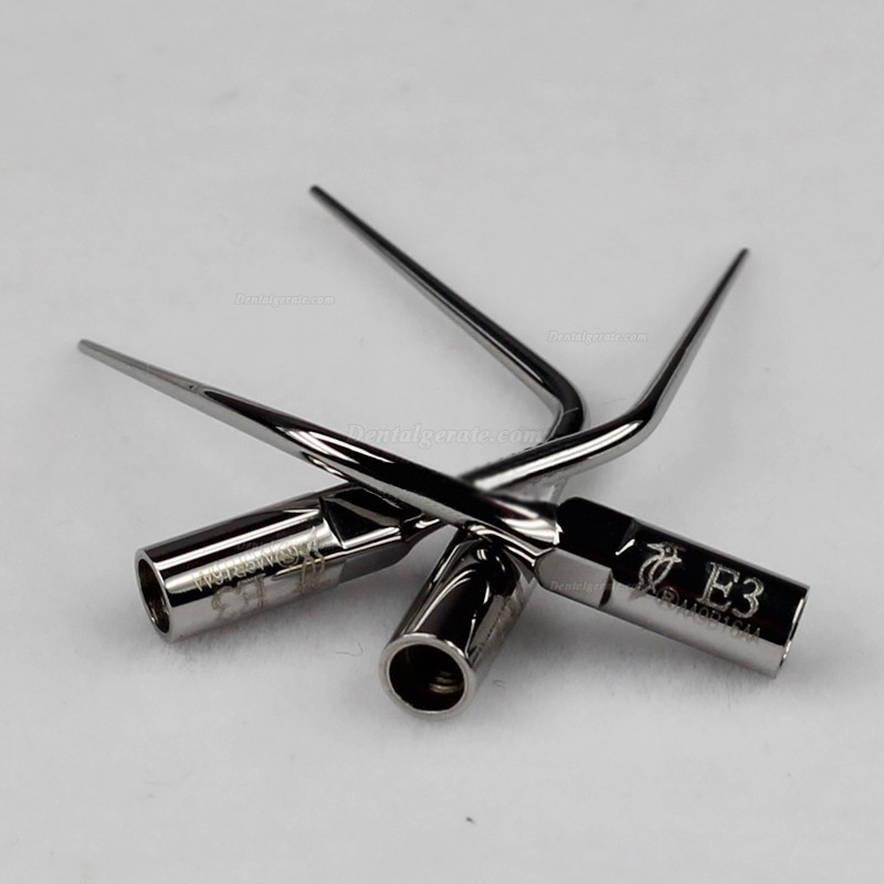 Woodpecker&reg; E3 10St&uuml;ck Endodontie Ansatzspitzen EMS/Woodpecker/Mectron